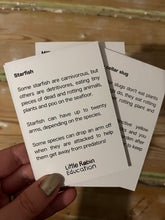 Load image into Gallery viewer, Detritivore Fact Cards
