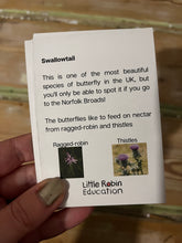 Load image into Gallery viewer, Butterfly Fact Cards
