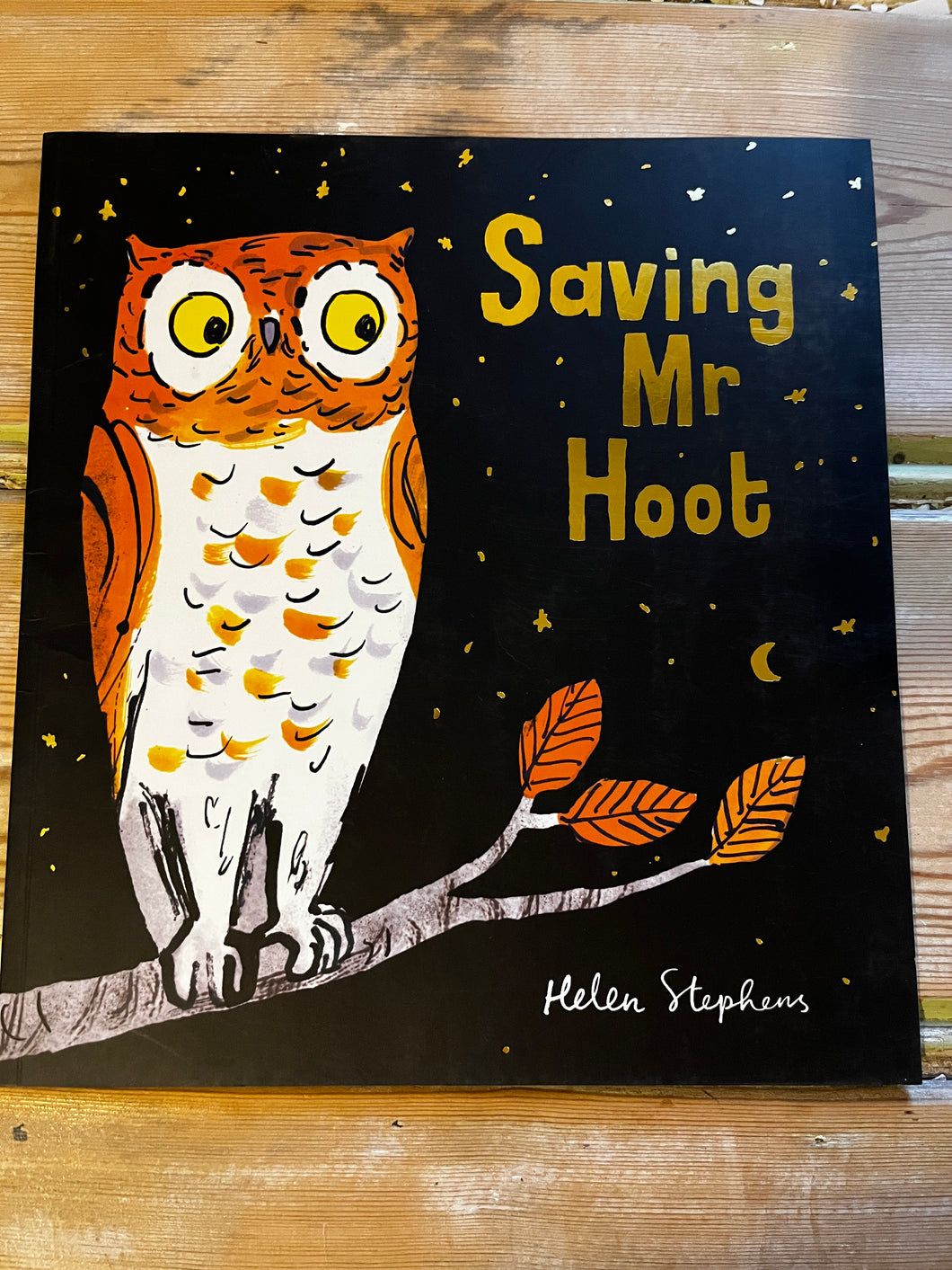 Saving Mr Hoot Seconds