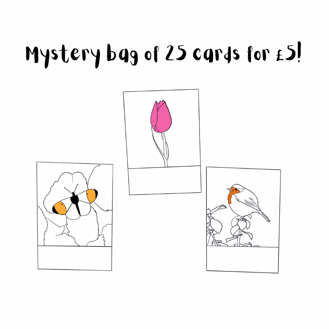 Mystery Card Pack